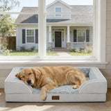 Casa Paw Orthopedic Dog Beds for Extra Large Sized Dogs, Waterproof Memory Foam XL Pet Bed with Sides 42x30Inch, Non-Slip and Egg-Crate Foam Big Dog Couch Bed with Removable Washable Cover, Light Grey