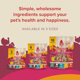 PLATO Original Real Strips Turkey & Sweet Potato 18oz, Natural (1442)