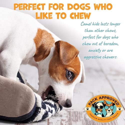 Camel Skin Dog Chews for Aggressive Chewers - Hypoallergenic Natural Collagen Sticks for Dental Health & Protein Boost - Long Lasting Treats for Large Dogs