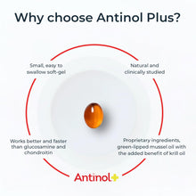 Load image into Gallery viewer, Antinol Plus, Mobility, Hip, and Joint Supplement for Dogs, Green-Lipped Mussels and Krill Oil - Dog Joint Supplement, Better and Faster Than Glucosamine and Chondroitin, 60 Soft Gels
