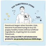 Pawstruck Premium Beef Jerky Dog Treat Chews, Large 10" Strips – Supports Hip & Joint Health, Rich in Glucosamine & Chondroitin, No Added Preservatives – 15 Count