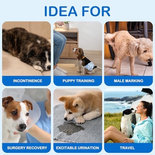 Dono Dog Diapers Male, Disposable Male Dog Wraps 60ct, Ultra Absorbent Doggie Diapers, Rapid-Dry Leak-Proof Puppy Diapers, Wetness Indicator Excitable Urination Incontinence, Medium