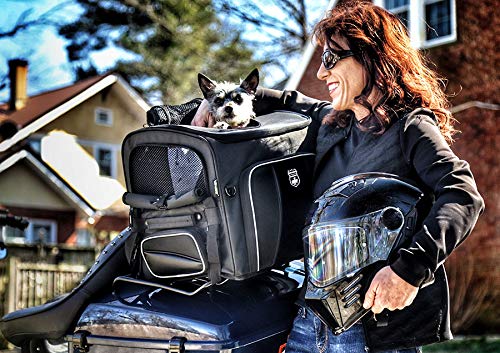 Nelson-Rigg Route 1 Rover Pet Carrier: Weather Resistant, Portable, and Secure Motorcycle pet Carrier/Crate; Fits Harley Davidson, Indian, Yamaha & Suzuki Motorcycles