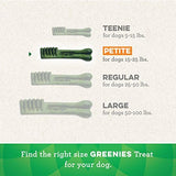 Greenies Pumpkin Spice Flavor Petite Size, Veterinarian-Recommended for Dental Care, Dog Treat Chews, Limited Edition, 12 oz., Pouch (20 Treats)