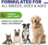 Advanced Dog Probiotics & Digestive Enzymes |Gut Health| Chews for Digestion, Allergy Yeast, Itchy Skin- Prebiotics Fiber Supplement - Diarrhea Gas Upset Stomach Relief Treats - 120 Chews