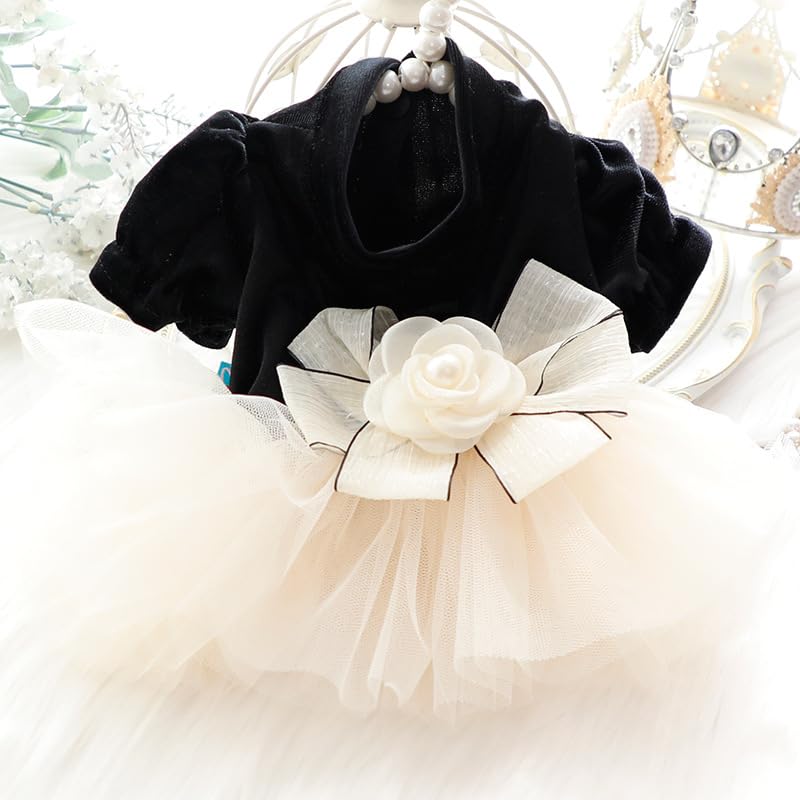 AZA Dog Wedding Dresses for Small Dogs Skirt Lolita Puppy Clothes Princess Costume Pet Girl Cat Cute Bow Lace Coat Outfits Summer Costumes (XL,Black-White)