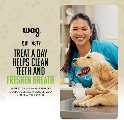 Amazon Brand - Wag Dental Dog Treats to Help Clean Teeth & Freshen Breath - Small, Unflavored, 2.25 pounds, 60 Count (Pack of 1)