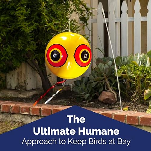 Bird-X SE-PACK VISUAL DECOY, 3 Count (Pack of 1), Yellow, Black, and White