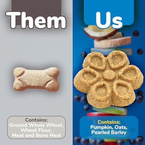 Fruitables Biggies Dog Biscuits – Crunchy Dog Biscuits Made with Pumpkin – Healthy Dog Treats Packed with Real Fruit Flavor – Free of Wheat, Corn and Soy – Pumpkin & Blueberry – 16 oz