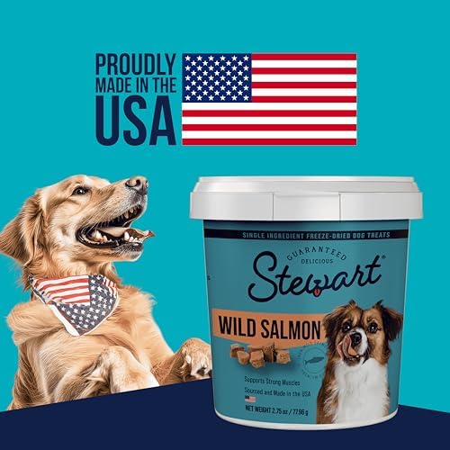 Stewart Single Ingredient Freeze Dried Raw Dog Treats, Wild Salmon, 9.5 Ounce Resealable Tub, Training Treats or Meal Topper for All Size Dogs, High Protein, Grain-Free, Gluten-Free