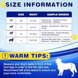 XPCARE 50 Count Disposable Male Dog Diapers, Male Dog Wraps,Super Absorbent Leak-Proof Fit (Large)