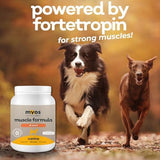 MYOS Canine Muscle Formula - All-Natural Muscle Building Supplement - Helps Reduce Muscle Loss in Aging Dogs and Improve Recovery from Injury or Surgery