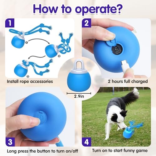 Interactive Dog Toys Electric Dog Ball Touch Wake-up with Dogs Chirping Rechargeable Toys Indoor & Outdoor Fun