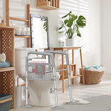 Agrish Stand Alone Toilet Safety Rail - [Adjustable Design] Medical Assist Grab Bar for Elderly Handicap Pregnant, Folding Toilet Frame Handrails (Silver Grey)