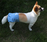 Female Dog Diapers for Small Dogs,4 Pack Reusable Washable Premium Puppy Diapers for Heat,Incontinence,Period Doggy Nappies,XS
