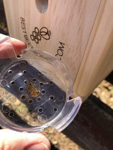 Best Bee Brothers Bee Traps for Outside. Carpenter Bee Trap, Pinewood bee Box Traps. Bee Trap, Outdoor. 4 Pack