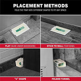 Catchmaster Max-Catch Mouse & Insect Glue Trap 36pk, Mouse Traps Indoor for Home, Sticky Pest Control Adhesive Tray for Catching Bugs, Rats & Rodents, Non Toxic Bulk Pre-Baited Glue Boards