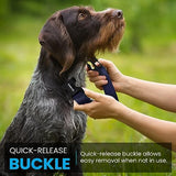 3/4" Nylon Replacement Collar - Shock Collar Replacement Collar, Fence Collar Replacement, Compatible with Pet Safe & Invisible Fence & Fits Most PetSafe Collars (3/4" Black)