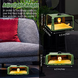 2 Pack Flea Traps for Inside Your Home with 4 Sticky Pads & 6 Bulbs & 2 Electric Wires, Flea Killer Indoor Bed Bug Trap Pest Control, Safe & Harmless, Friendly to Pets & Kids-Adjustable Height, Green