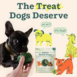 WOOF Pupsicle Refill Pops, Delicious Long Lasting Dog Treats, Pre-Made Pupsicle Refills for Dogs, Wholesome Ingredients, Low-Mess Chicken Pet Treats - Small Pops - 10 Count