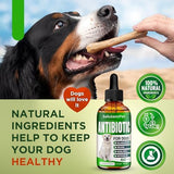 Dog Antibiotics | Natural Antibiotics for Dogs to Help with Infections, Cough, Allergies | Dog UTI Treatment for All Breeds | Puppy & Dog Itch Relief | No GMOs | 2 Oz
