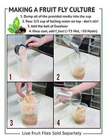 Josh's Frogs Melanogaster Fruit Fly Culture Kit (Makes 10 Cultures)