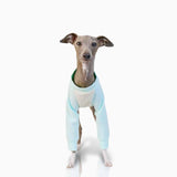 UOSIA Italian Greyhound Clothes Whippet Clothes Basic Soft Dog Shirt Long-Sleeved Dog Pullover Shirt Cotton Puppy Clothing Crewneck Dog Sportswear Fall Pet Outfits for Small Medium Dogs