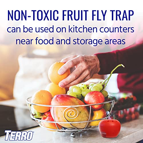 TERRO Indoor Fruit Fly Trap (2-count) | Terro Traps In – Built With Window Sinks
