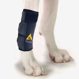 Agon® Dog Canine Front Leg Brace Paw Compression Wraps with Protects Wounds Brace Heals and Prevents Injuries and Sprains Helps with Loss of Stability Caused by Arthritis (Large/X-Large)