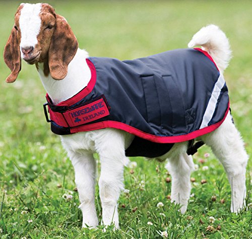 Horseware® Goat Coat (100g Light)