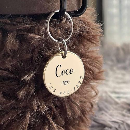 Cats Dogs ID Tags Personalized Lovely Symbols Pets Collar Name Accessories Simple Custom Engraved Supplies for Large Four Legged Child Necklace Chain Anti-Lost Industrial Steel Charm