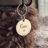 Cats Dogs ID Tags Personalized Lovely Symbols Pets Collar Name Accessories Simple Custom Engraved Supplies for Large Four Legged Child Necklace Chain Anti-Lost Industrial Steel Charm