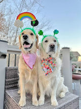 Midlee St. Patrick's Rainbow Pot of Gold Dog Headband Costume