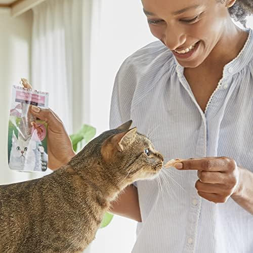 INABA Premium Hand-Cut Grilled Chicken Fillet Cat Treats/Topper with Vitamin E and Green Tea Extract, 0.9 Ounces Each, Pack of 6, Shrimp Broth
