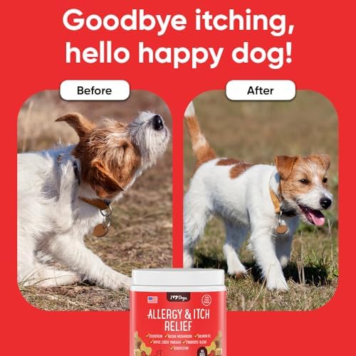 iHeartDogs Allergy & Itch Relief for Dogs with Salmon Oil, Quercetin, Colostrum, Antioxidants and Probiotics - 90 Count