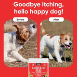 iHeartDogs Allergy & Itch Relief for Dogs with Salmon Oil, Quercetin, Colostrum, Antioxidants and Probiotics - 90 Count