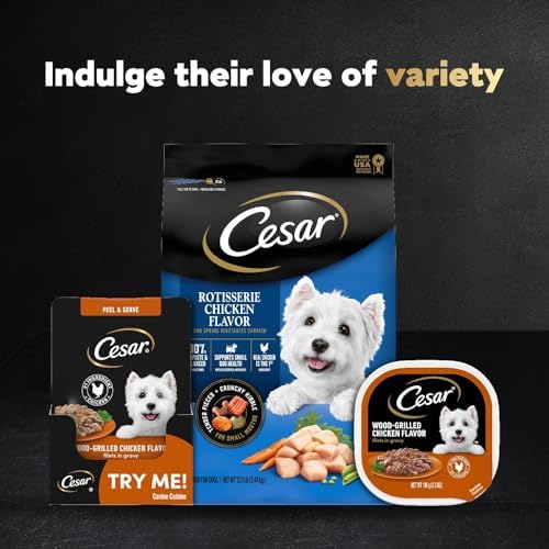 Cesar Filets in Gravy Wet Dog Food Wood-Grilled Chicken Flavor, 1.76 oz. Mini-Pouch, 20 Pack