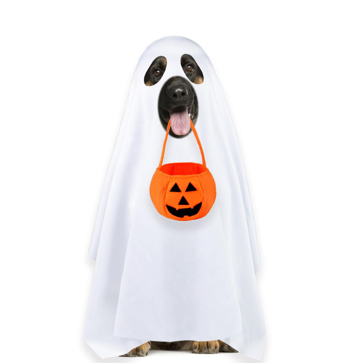 PAYHTOW Dog Halloween Costumes, Dog Ghost Costume Funny Pet Ghost Costume with Pumpkin Candy Bag for Small Medium Large Dogs Pets (Large)