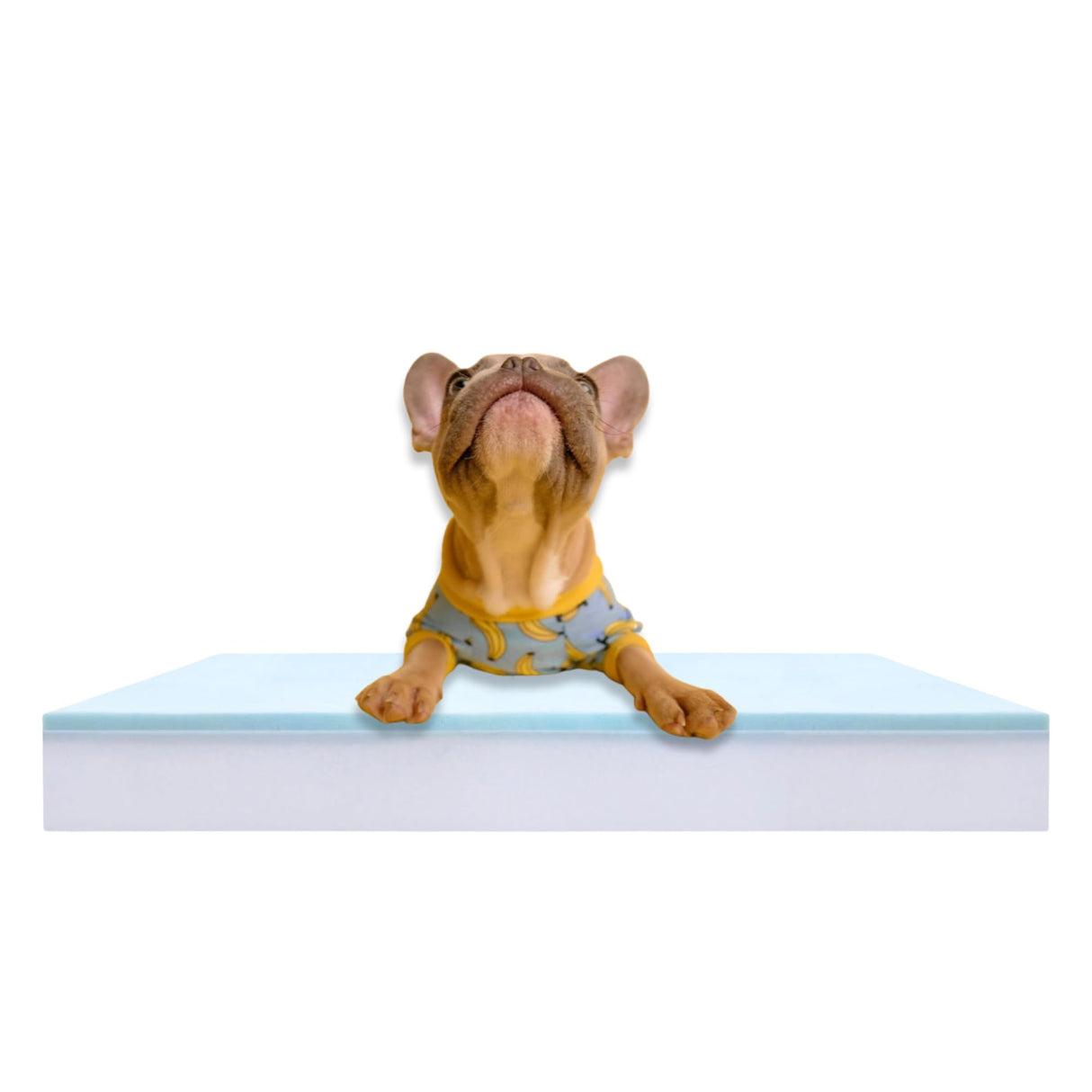 Pet Bed Foam Insert/Dog Bed Pad (3"x32"x40")