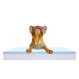 Pet Bed Foam Insert/Dog Bed Pad (3"x32"x40")