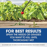 6 Bottles Roundup Concentrate Weed and Grass Killer - 32 FL OZ Makes 10 Gallons