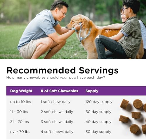 Nutri-Vet Pre and Probiotic Soft Chews for Dogs, Digestive Support, Upset Stomach, Liver & Cheese Flavor, Canine Prebiotic, Pet Fiber Supplement, Alternative to Dog Probiotic Powder, 120 Soft Chews