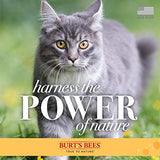 Burt's Bees for Pets Cat Dander Spray with Colloidal Oat Flour and Honey, 2pk, 99.3% Natural Origin Formulas, Cat Dander Remedy, Cat Spray for Allergy Relief, Cat Dander Spray, 2pk, 10oz