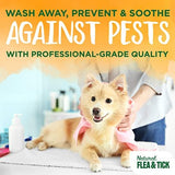 TropiClean Soothing Natural Flea and Tick Dog Shampoo | Natural Flea and Tick Prevention for Dogs | Made in the USA | 1 Gallon