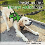 rabbitgoo Escape Proof Dog Harness, Soft Padded Full Body Pet Harness, Reflective Adjustable No Pull Vest with Lift Handle and Lesh Clip for Large Dogs Walking Hiking Training, M, Green