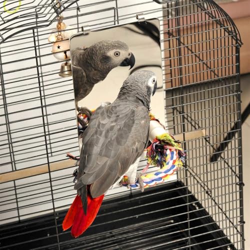 Colorday 9" Bird Mirror with Rope Perch, Bird Swing, Parrot Cage Toys for Parakeet African Grey Conure Cockatiel Lovebird Finch Canarie, Large