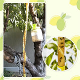 40 Packs Flying Insect Traps, Fly Strips, Fly Paper Ribbon, Sticky Fruit Fly Traps Hanging Gnat Fungus Mosquito Trap for Indoors Outdoors