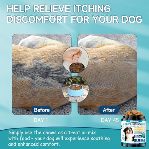 200 Dog Allergy Chews Anti-Itch for Dogs, Dog Allergy Relief Chews for Dogs Itching Skin Relief, Skin & Coat Supplement, Omega 3 Fish Oil, Turmeric & Colostrum Immune Support, Hot Spots, Paw Licking