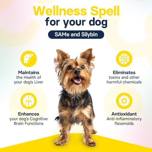 Liver Health Supplement for Small Dogs - Milk Thistle for Dogs Liver Support with S-Adenosylmethionine (Same) & Silybin - 30 Tablets