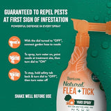 TropiClean Max Strength Flea and Tick Treatment Spray for Yard, Safe Prevention Around Kids & Pets, Powerful & Natural Defense, Made in USA, 32oz